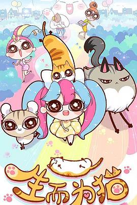 丰都seo专业优化公司